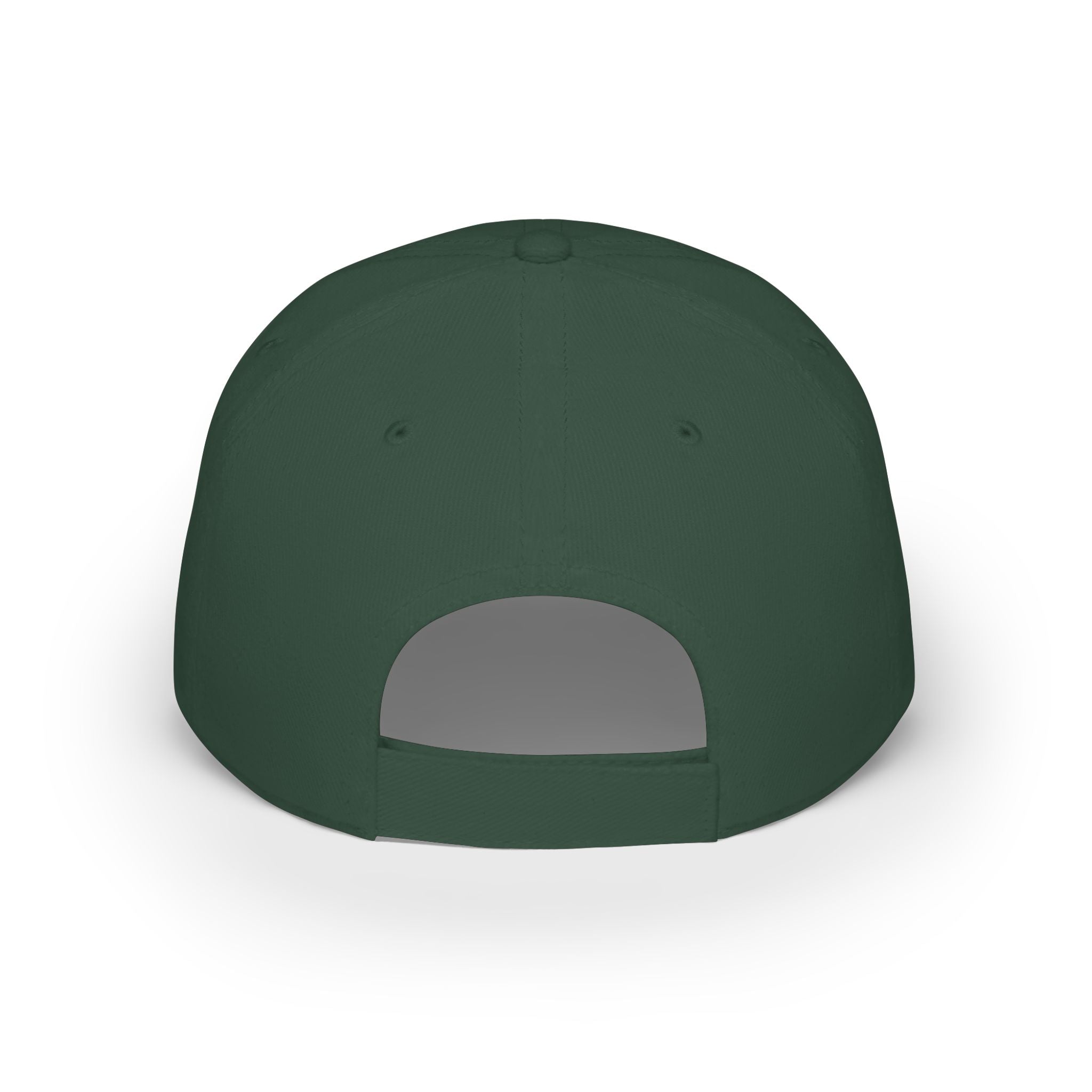 Willits Basketball Low Profile Cap