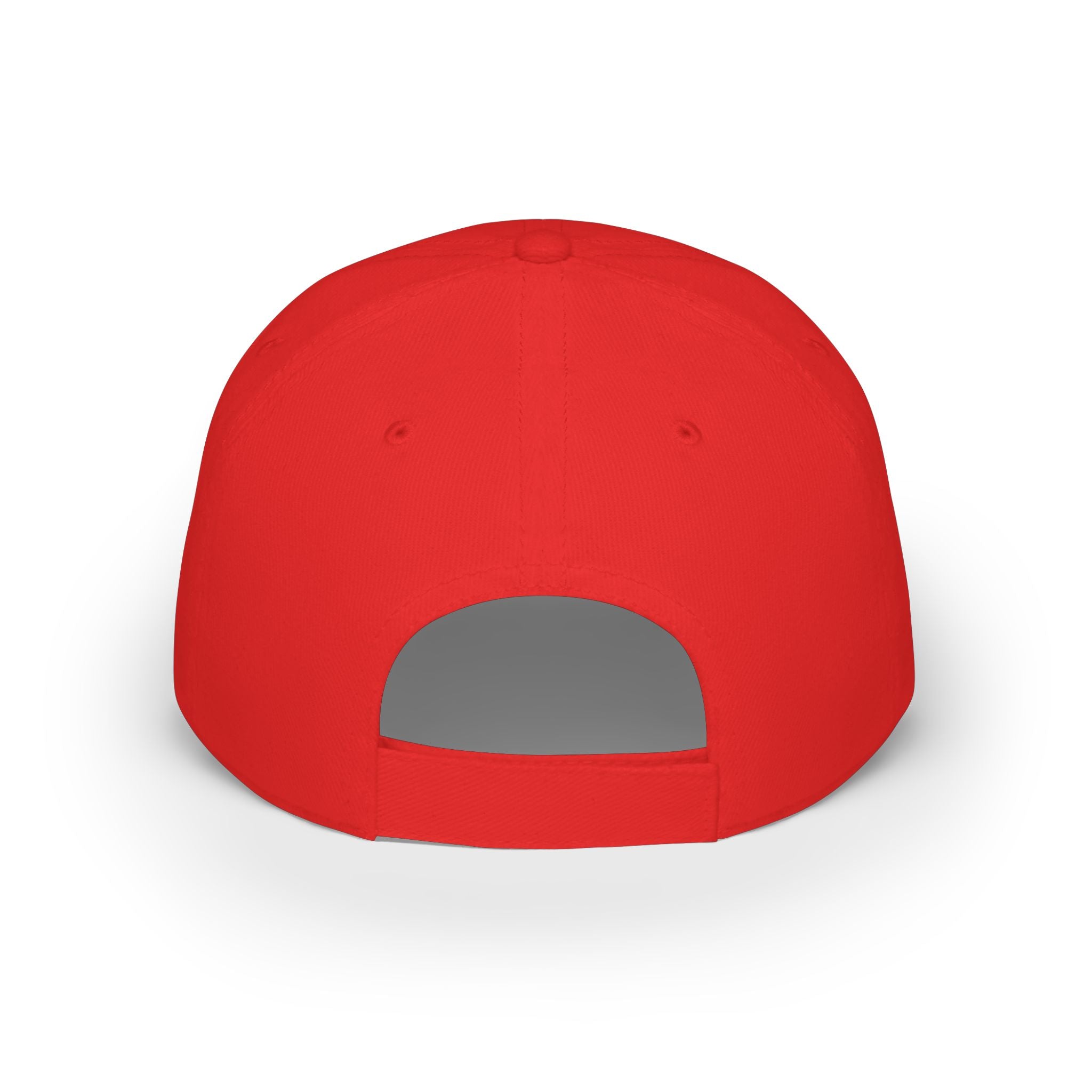 Willits Basketball Low Profile Cap