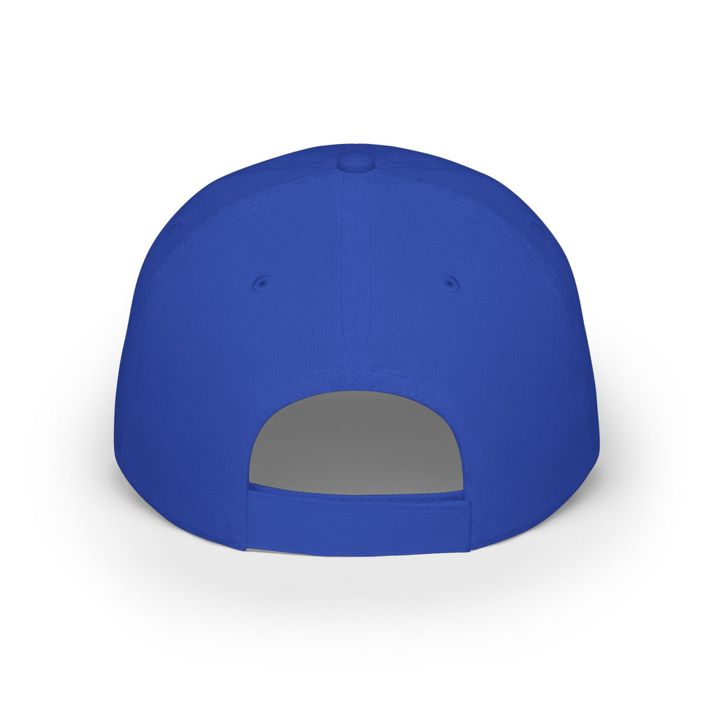 Willits Basketball Low Profile Cap