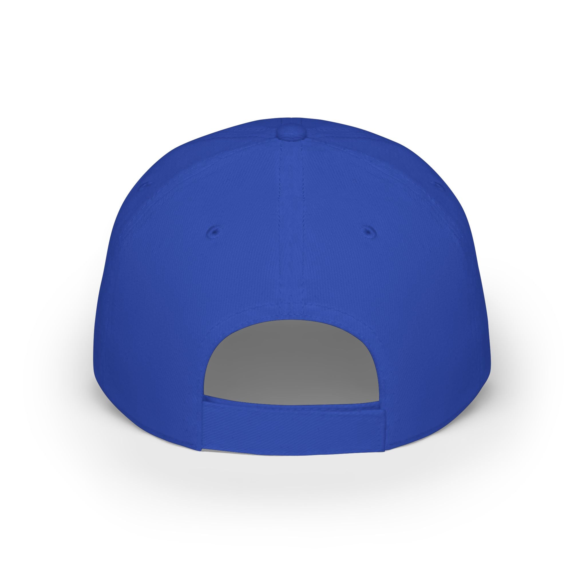 Willits Basketball Low Profile Cap