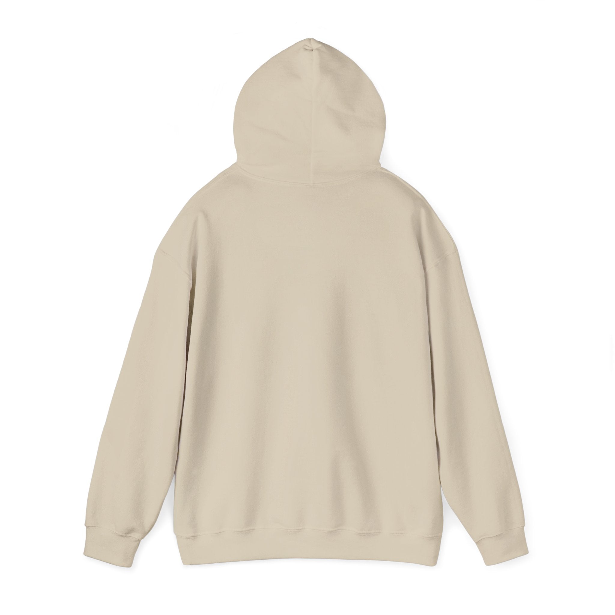 Vintage Train Hoodie – ‘Railroad Express’ Retro Locomotive Graphic